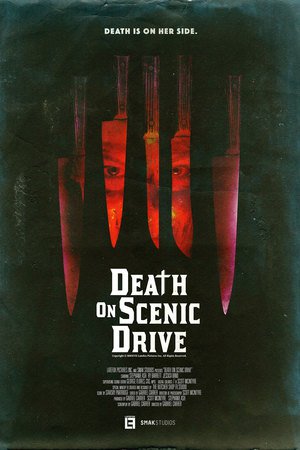 Death on Scenic Drive