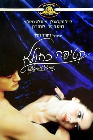 קטיפה כחולה