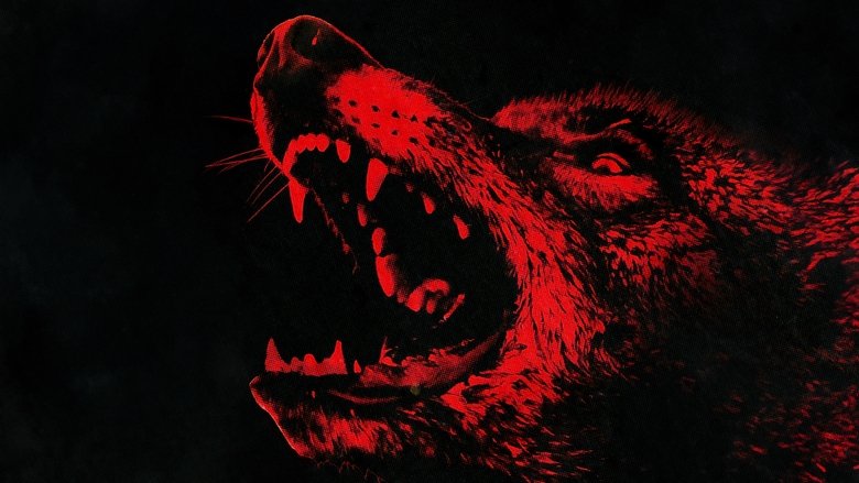 תמונה מתוך Coyotes