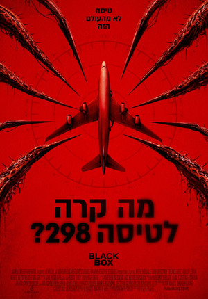 מה קרה לטיסה 298?